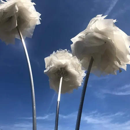 Daire Le Jardin D Eden Béziers